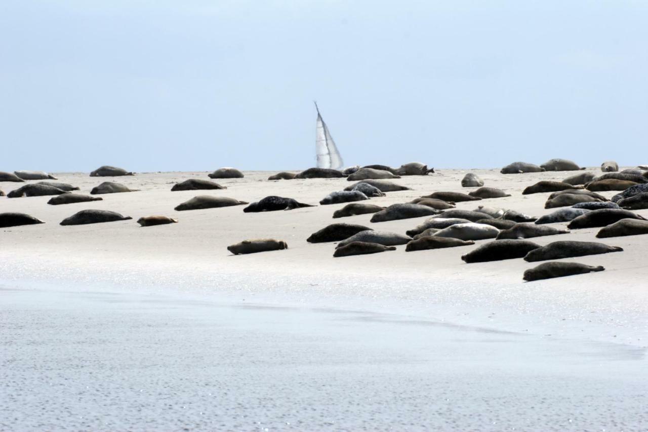 Borkumunterkunft - Woh3 - Im Herzen Der Insel Экстерьер фото